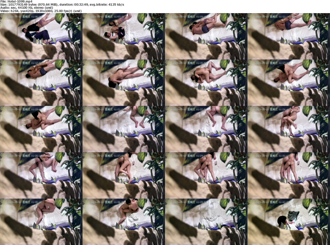 18072023133615screenshot