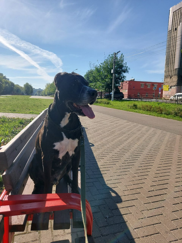 5E5C6B3B-31F1-4C7A-9F6B-496817D4CB36