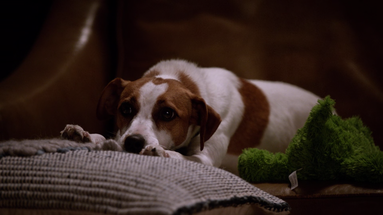 New.Girl.S07E06.Mario.1080p.AMZN.WEB-DL.DDP5.1.H.264-NTb[SS]21