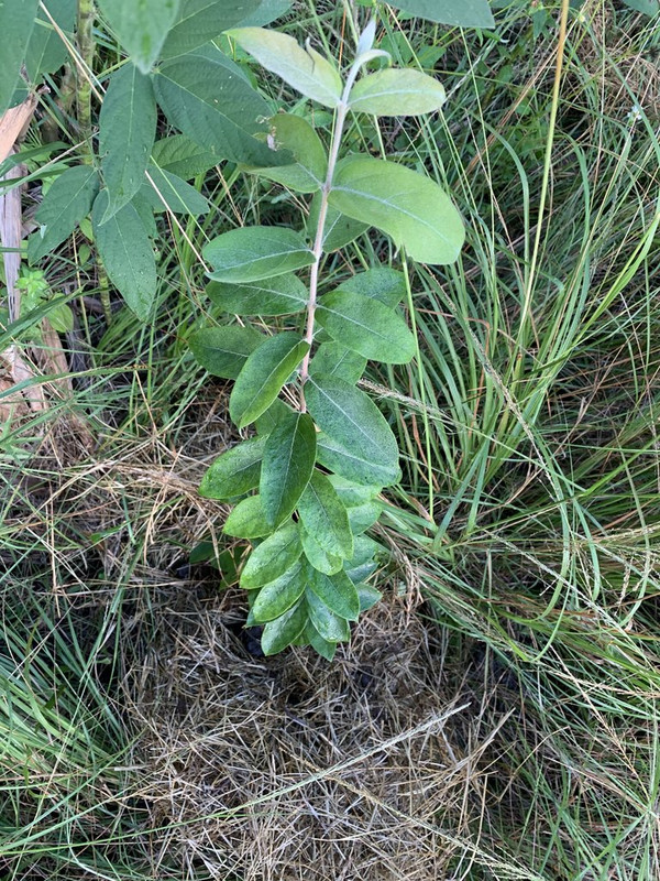 1A4DBC09-BA5E-4CED-A17F-695B603F9CAC