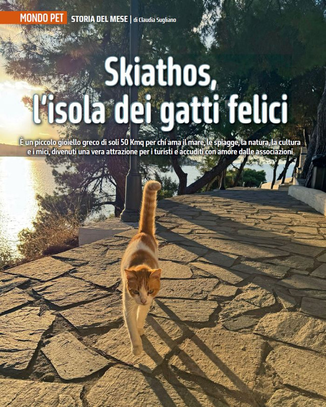 QuattroZampe Feb 2025 (3)