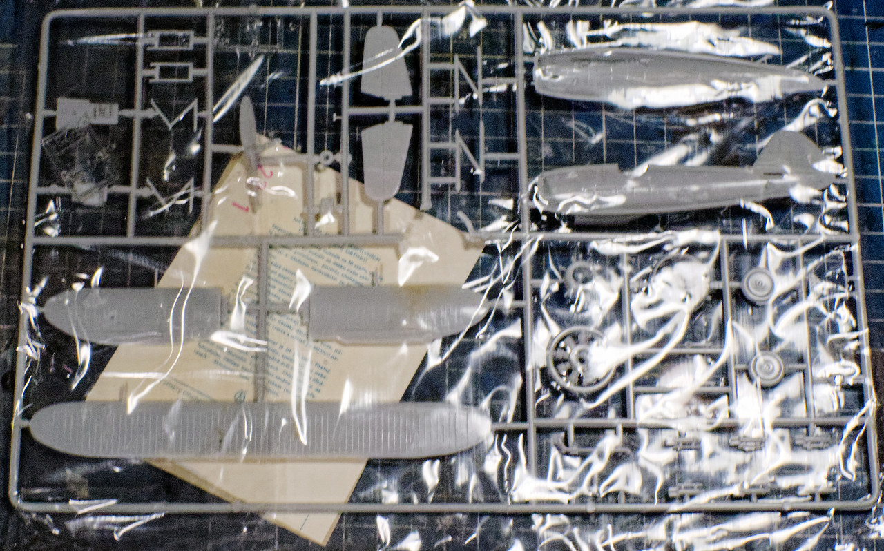 241210_1910_DSC_2332_dx