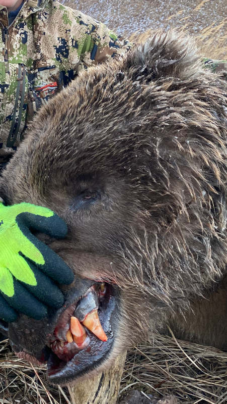 47C9C023-5CF8-4CB3-A2D7-91F680743EFE