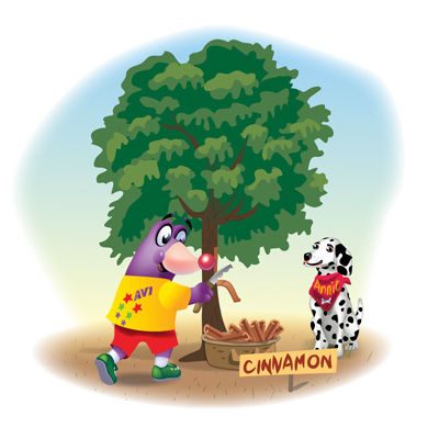 Cinnamon