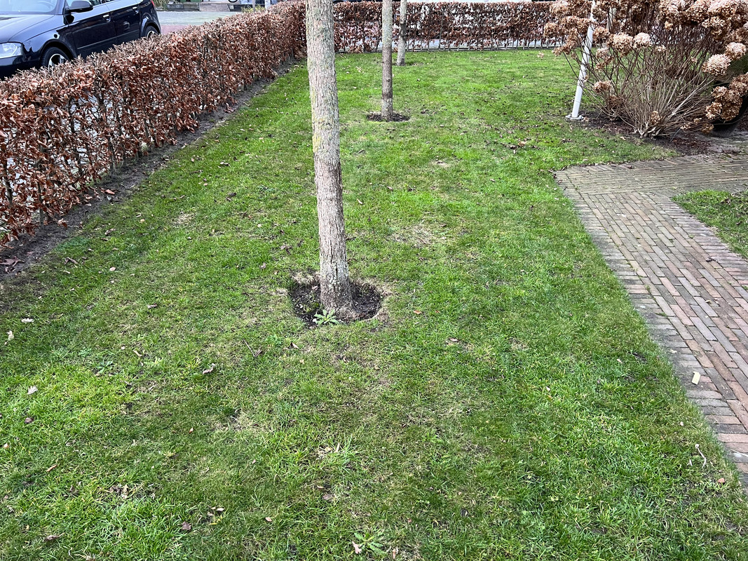 2FDF8D4C-068A-498D-BC12-6FCE901C48FF