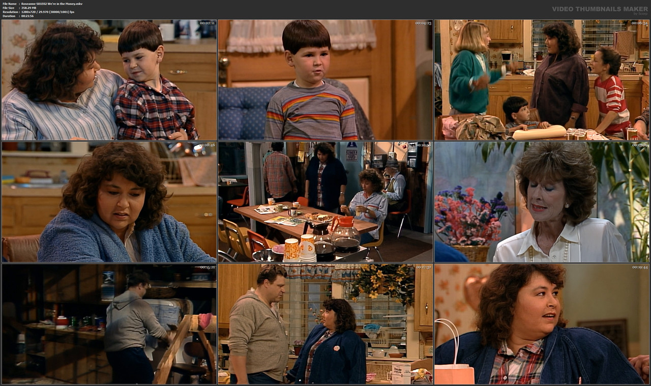 Roseanne S01E02 We're in the Money.mkv
