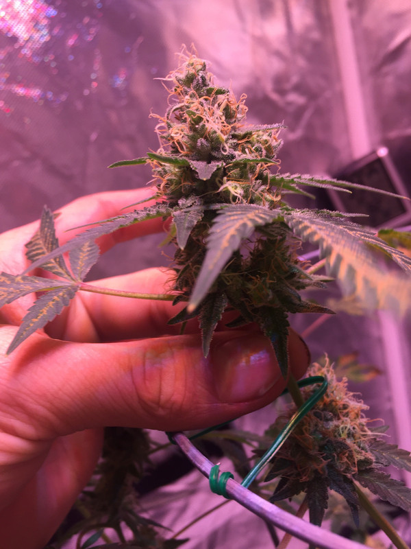 B6BC938E-DB74-4932-A374-2DA0FBD40F85