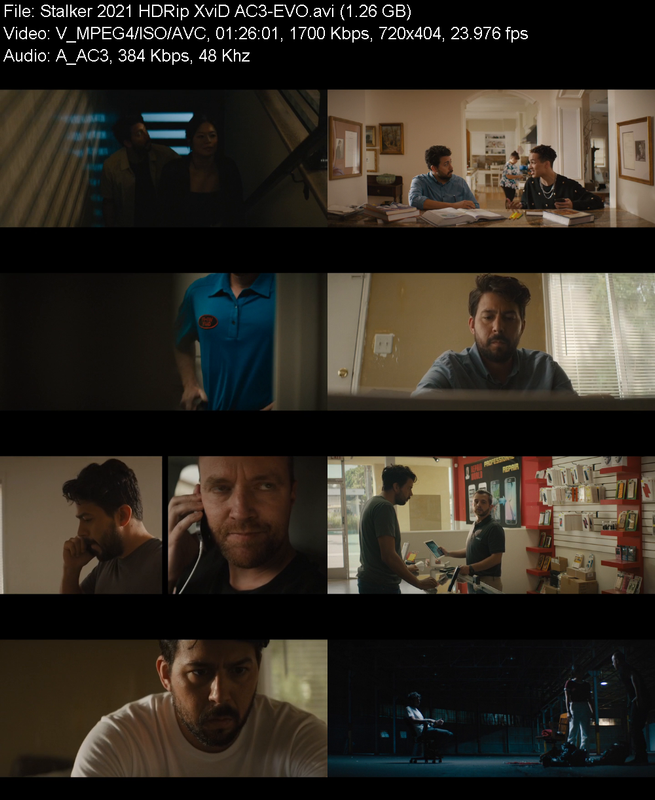 stalker-2021-hdrip-xvid-ac3-evo.png