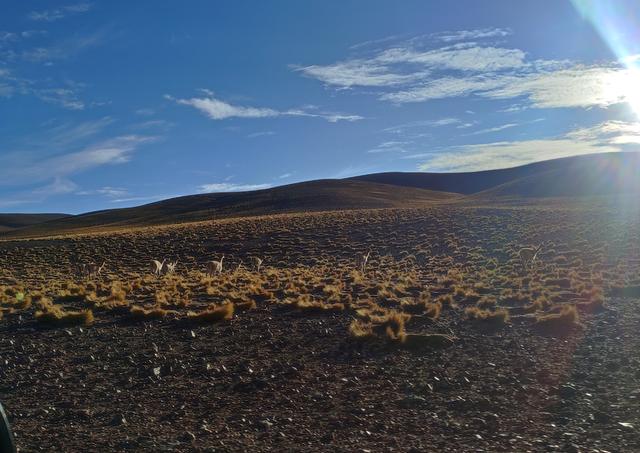 SALAR DE ANTOFALLA. SALAR DE ARIZARO Y CONO DE ARITA - ARGENTINA INFINITA II/ TORRES DEL PAINE (1)