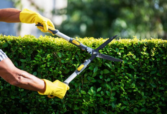 Gardening-12.jpg