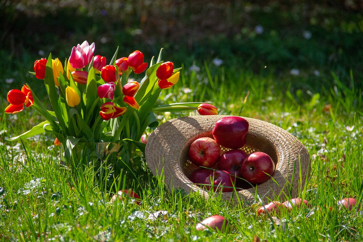 red-hat-apple-3313171-1280.jpg