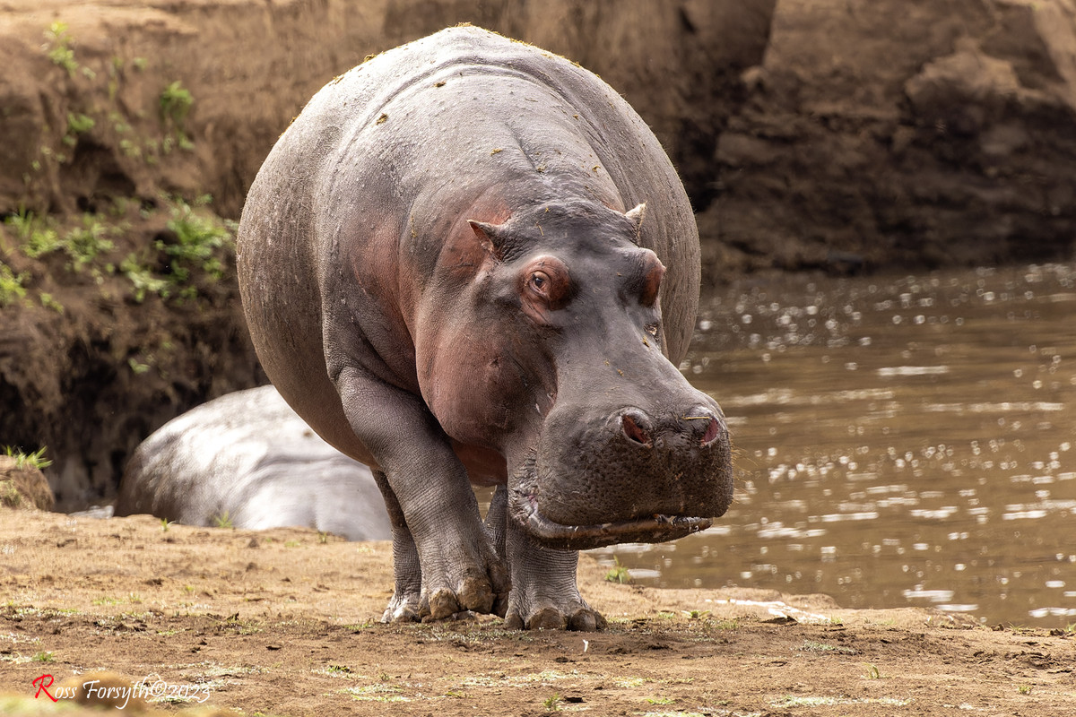 _5RF6073-CR3_DxO_DeepPRIMEXD