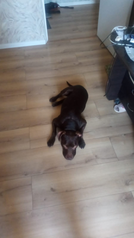 A1D1F5B9-640F-4DC6-BD62-5B0EE2AFC014