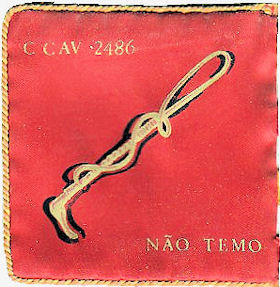 CCav2486