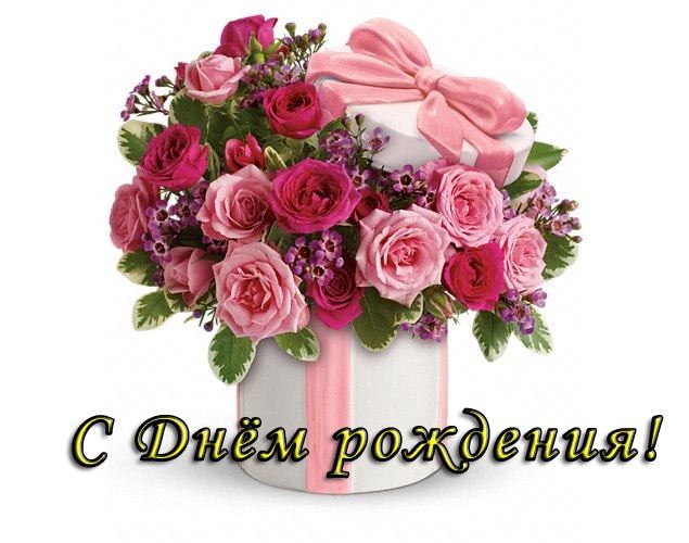 https://i.postimg.cc/JnPP9Ntg/2b6546ed544f69c655bf1a7bcb7340b8-gif.jpg
