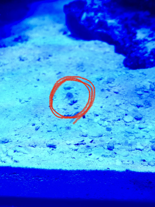 EAC8B098-89C4-4EBE-ADB6-4203F041CF2E