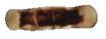 /all