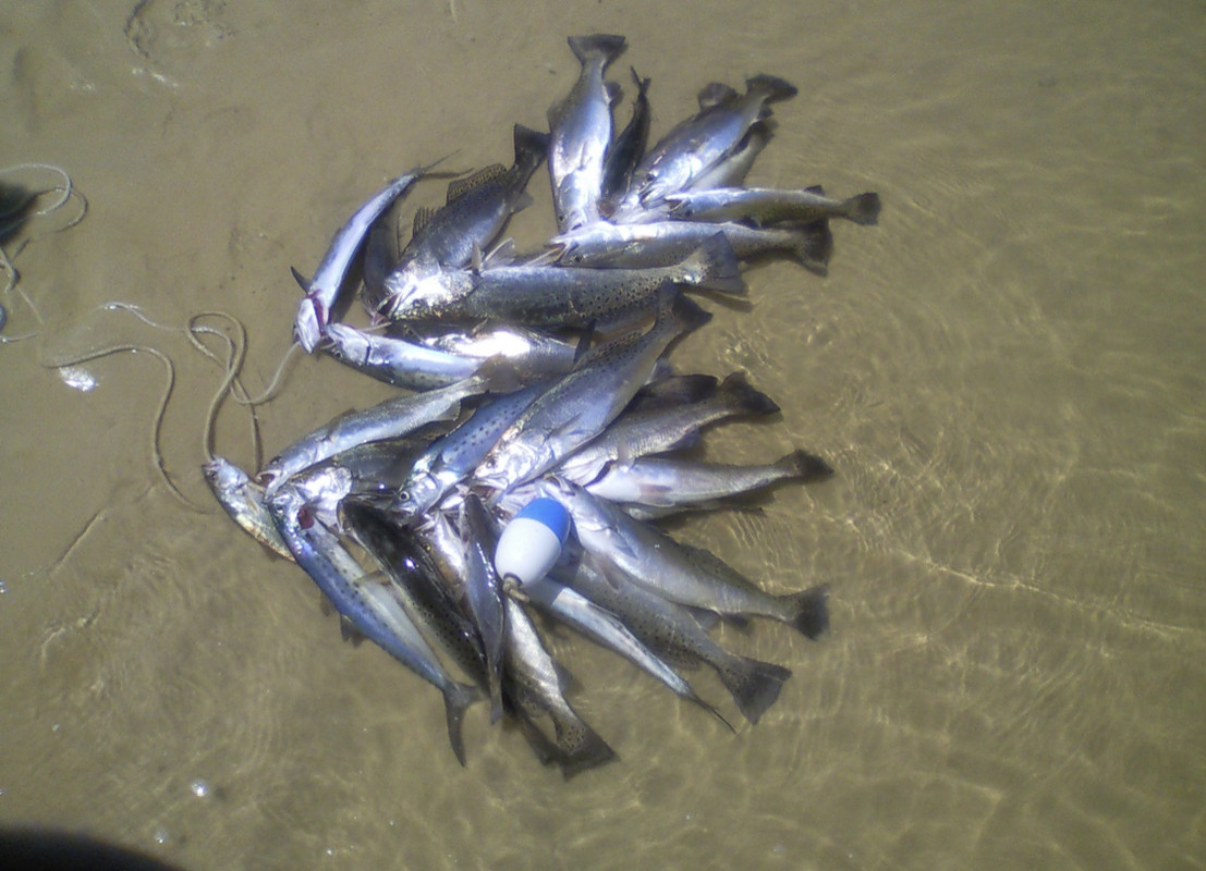 3B410405-BDCD-4408-B3A8-C66143B16FAB