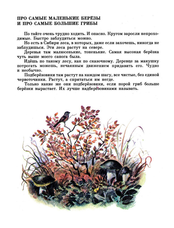 Adzhijev-Murad-Sibir-kotoruju-ja-videl-417093-07