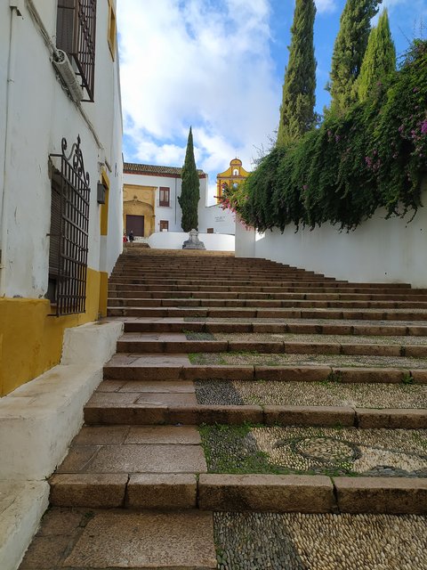 Navidad en Córdoba - Blogs de España - Día 1 Preparativos y Free tour (4)