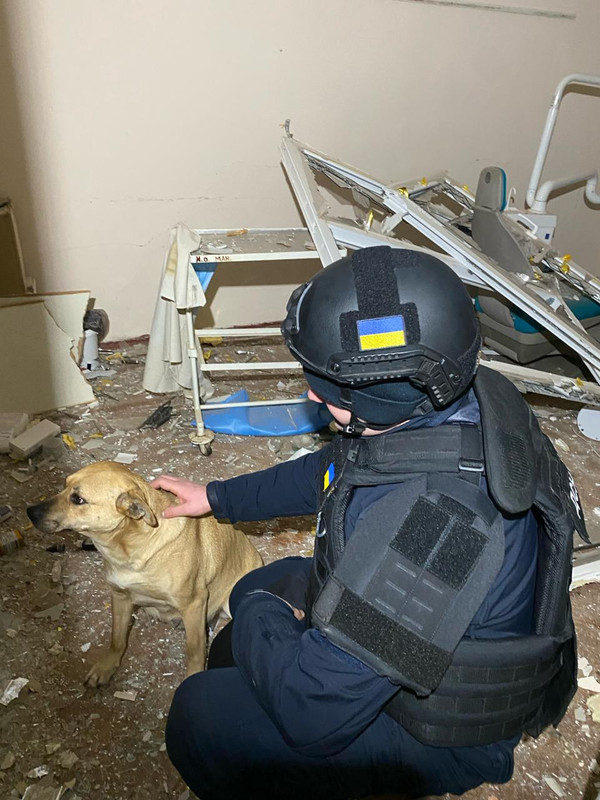 IMG_20240131_235302_762