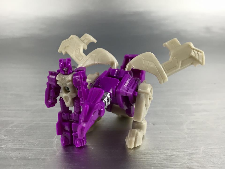 13524323_876018735858866_1643071608877702238_n