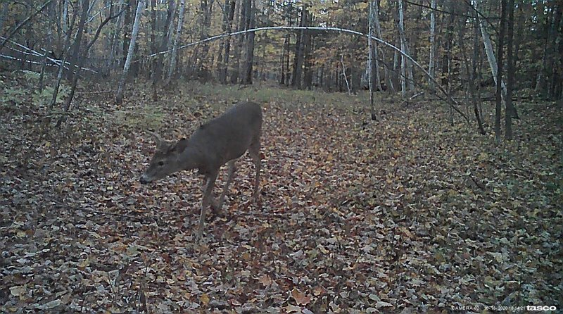 0D7BD6E3-2009-4A72-9052-37FAFACC4DA1