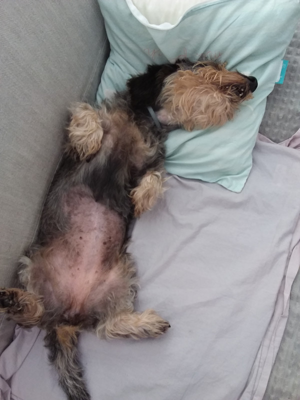 [Image: 20230818-152852.jpg]