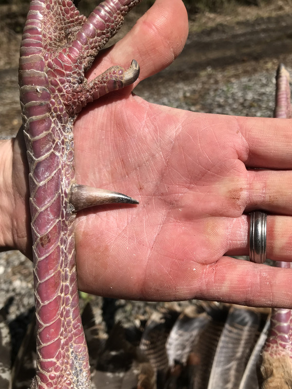 F037EB8F-727C-458B-92C7-154A96639A3F