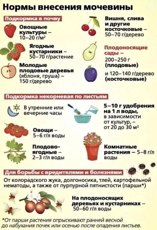 UFj-Ln-IMPSAv6-LZu-MYkd-Kp-GYw-6-Yf02-PJKzjc-Bs-E4-Isp-Jy9lk-IHeggt1-Fk-N-0g8-QY9jdi-YMn-Mkw-YS6k-Nrq-YYUKK