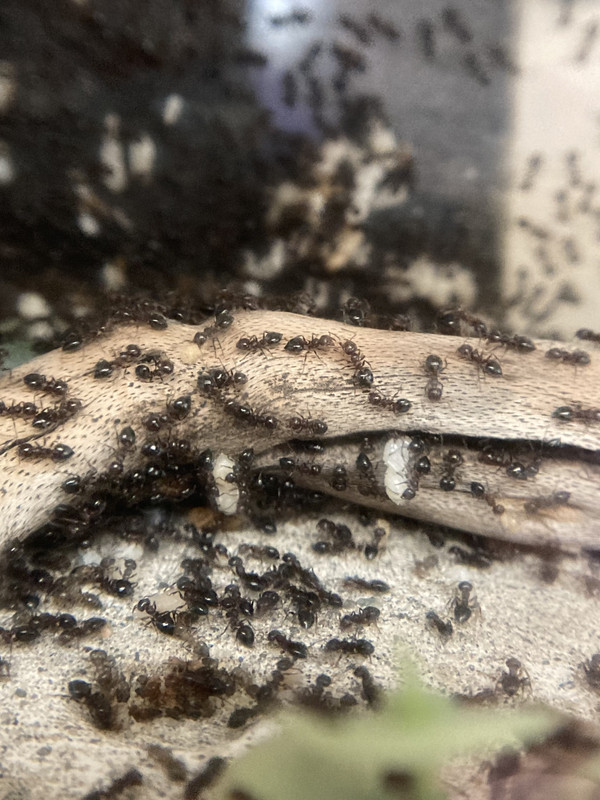 4F60F9CF-DF52-490C-9FC7-6A86FB64B0B8