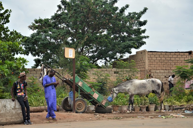 SENEGAL Y SUS PUEBLOS-2016 - Blogs de Senegal - DAKAR-3 y 4-8-2016 (63)