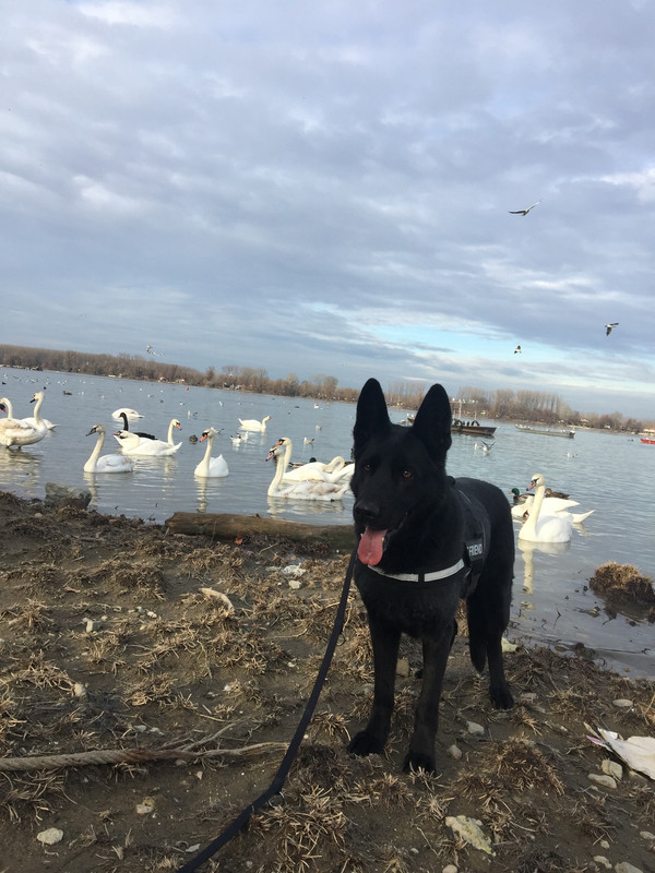 F87AA582-084B-4238-8369-95E26C217E38