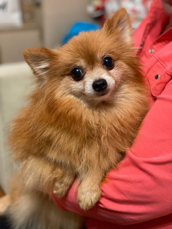 C4303095-3CC8-4441-A805-F8D95691D229