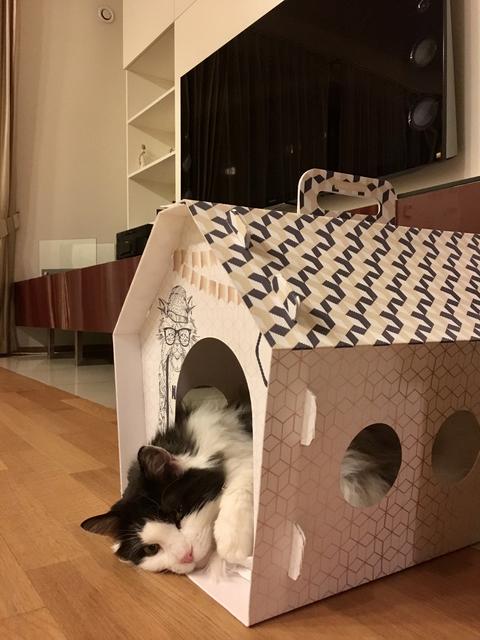 3-E2-F82-F5-BB0-D-4457-96-B6-4-B6406-B72