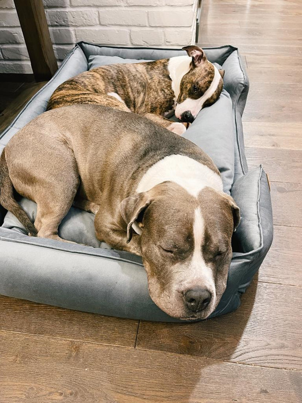 C9D17B62-6B96-4A5E-8F91-174DB771E2B1