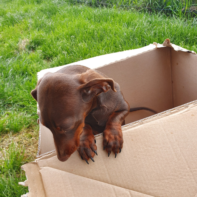 [Image: 20210521-121626.jpg]