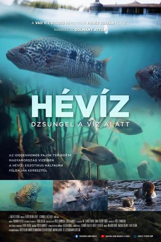 [Kép: Heviz-dzsungel-a-viz-alatt.jpg]