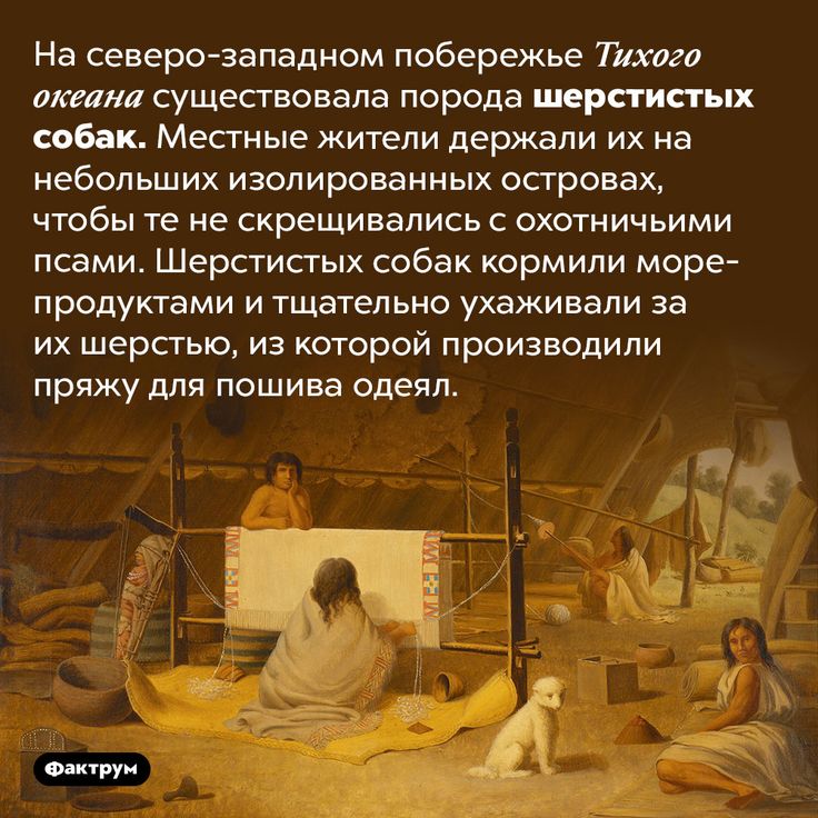 [Изображение: 6bc046cb3f6da57dda11a8be30d24542.jpg]