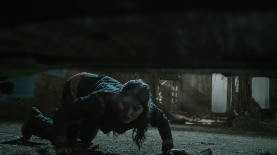 Scarecrow 2013 BluRay [Hindi + Tamil + English] 480p, 720p ESub Screenshot