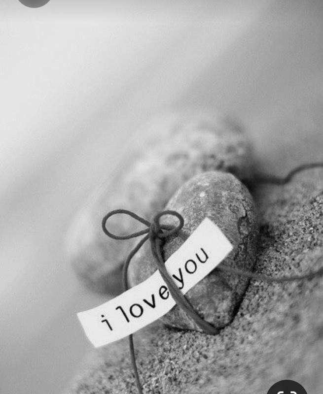 Screenshot_20230427_232511_Pinterest