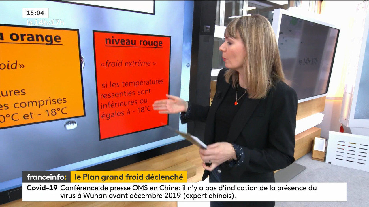02.09 - 12.59.00 - Le 14h-17h. Au sommaire   Vrai ou fake. - francein..._001.ts_snapshot_00.13.031