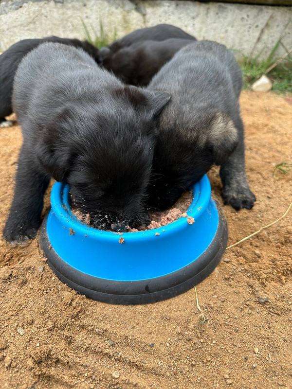 photo_2024-04-21_19-21-12 (2)