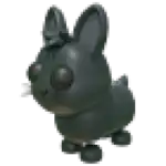 Amami Rabbit