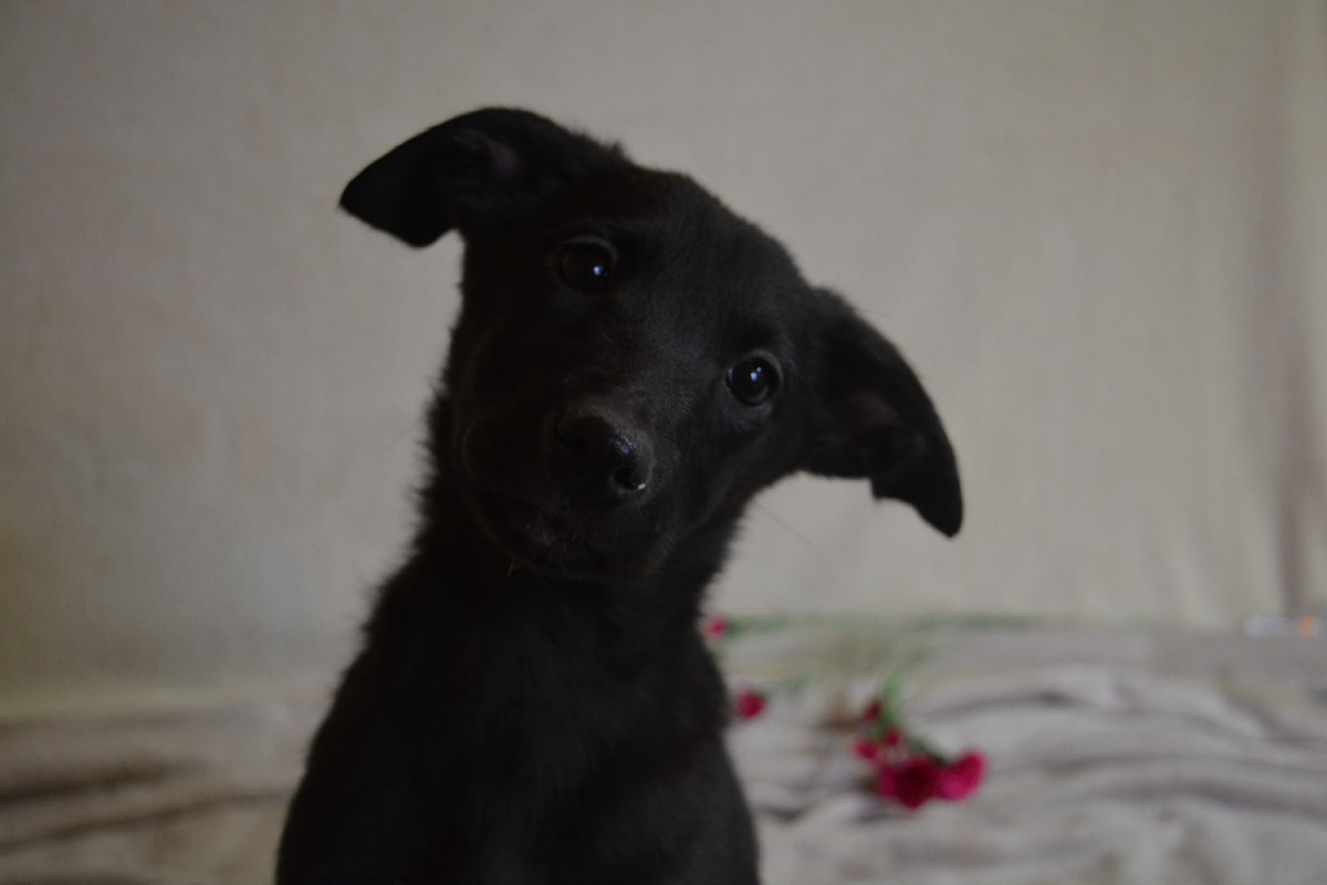 21-48-05-9SxCEyj-Buo