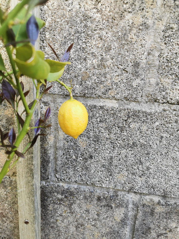 WhatsApp Image 2021-05-23 at 10.35.56 (6)