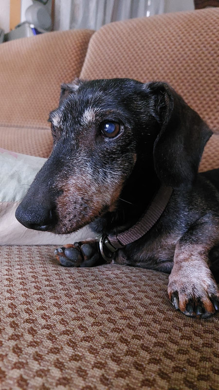 [Image: IMG-20240126-WA0007.jpg]