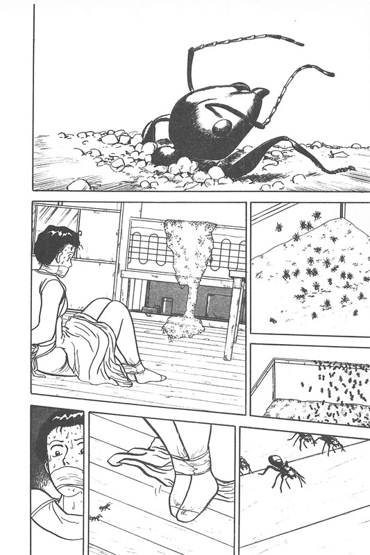 Daidoya TogoVol24-2