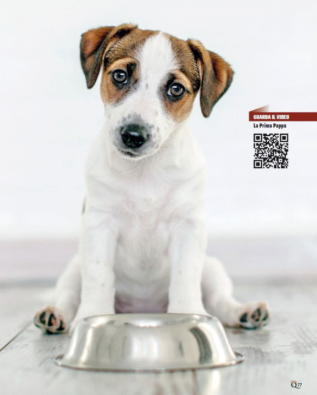 QuattroZampe Feb 2023 (6)