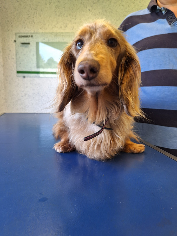 [Image: 20240412-155731.jpg]